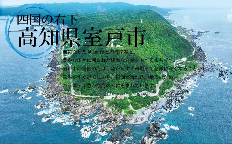 宝石サンゴ】白珊瑚本連数珠（女性用）｜珊瑚 さんご 数珠 仏具 お盆