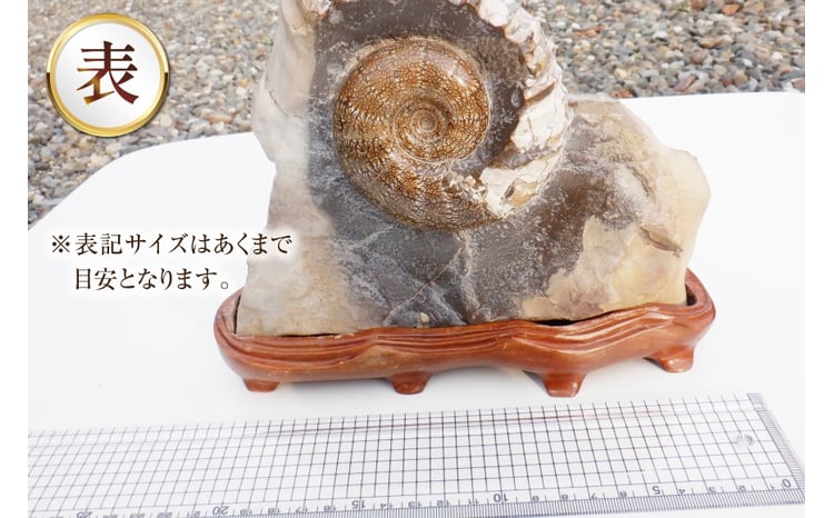 sd3_cb027f14f5aa9f26f9b02a7fdc