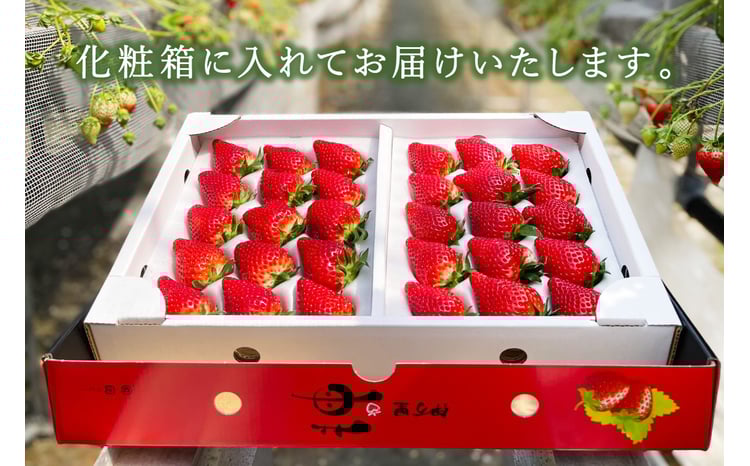 ◎いちごさん 専用ページ いちご いちご工房 0111 ♡ いちごページ 椿