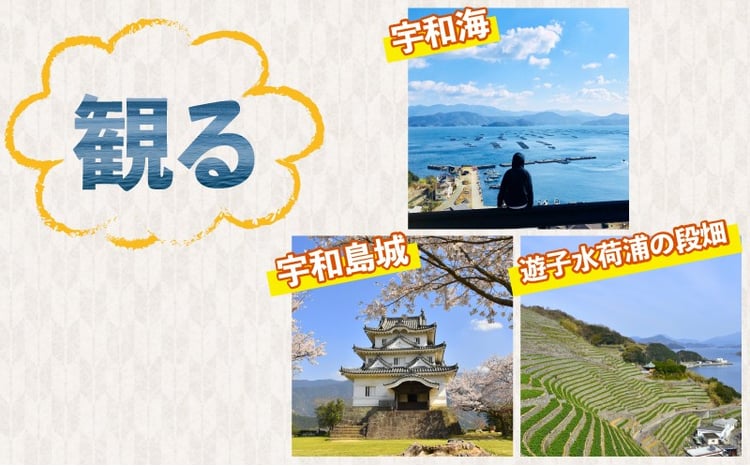 10営業日以内発送／ サンゴ パール ペンダント 7.0-7.5mm ピンク