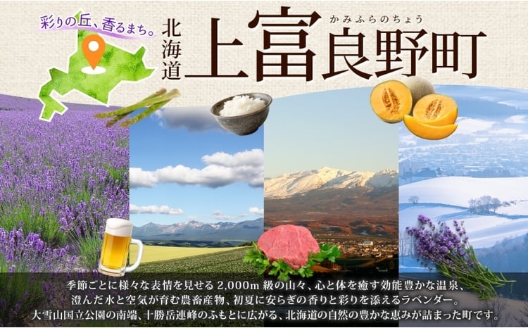 ◇定期便(全3回)◇SORACHI 1984≪ソラチ1984≫1箱（350ml×12缶） 吉澤