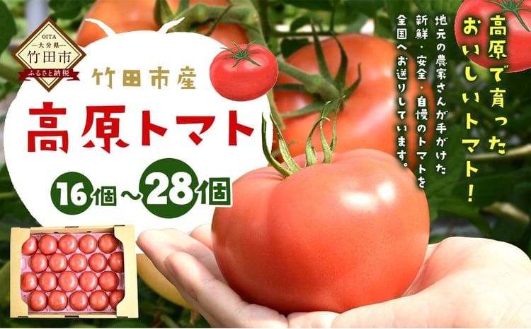 竹田市産】高原トマト 16～28個 【2026年5月下旬-2027年1月上旬発送