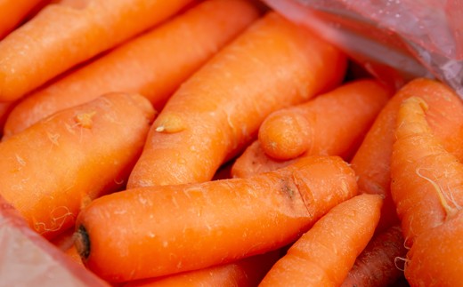 y161 ≪訳あり・数量限定≫湧水町産有機にんじん(約10kg) 国産 九州産