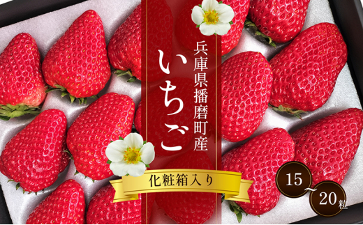 №5359-0001]兵庫県播磨町産いちご（化粧箱入）（15～20粒） - 兵庫県
