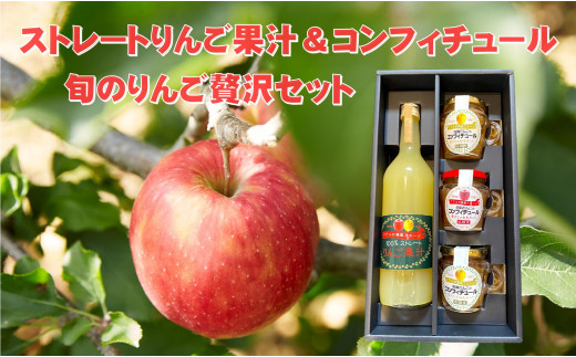 先行予約 9月頃から発送予定】旬のりんご 約5kg 品種おまかせ 1～2種