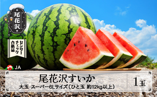 先行予約 尾花沢すいか 5Lサイズ 約10㎏×2玉 7月下旬～8月10日頃発送