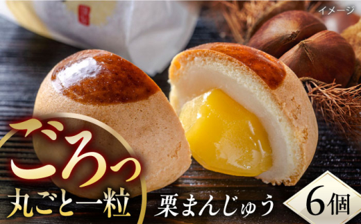 栗まんじゅう 6個入り 饅頭 栗饅頭 くりまんじゅう まんじゅう 和菓子