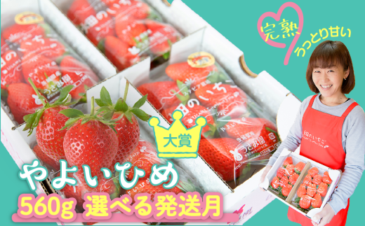 やよいひめ】 いちご やよいひめ デラックス 2箱 1600g | 選べる量と