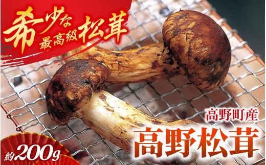 2026年発送分】香り・歯応え・味ともに最高級！希少な国産松茸「高野