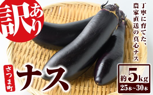 s709 《期間限定》＜訳あり＞ ナス 筑陽 (約5kg・25本～30本) 鹿児島
