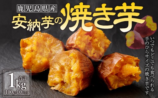 AS-2143 希少！鹿児島県産 紫山芋 約3kg 【2024年11月下旬より順次発送