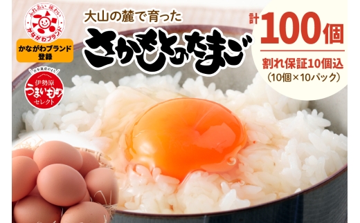 pd_0795986d9ecf981337406d92f36