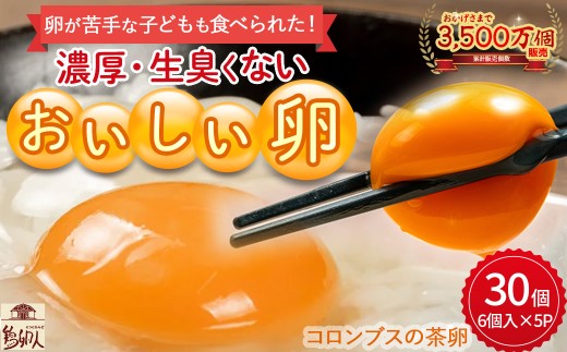 卵が苦手な子どもも食べられた！生臭くないおいしい卵 6個入×5P Gbn
