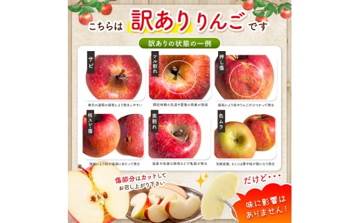 家庭用 ぐんま名月 約3kg 【2026年先行予約】 ｜ 外川果樹園 リンゴ