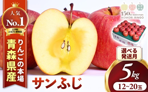りんご【サンふじ】約5kg（12～14玉・大玉サイズ）【2025年産・先行