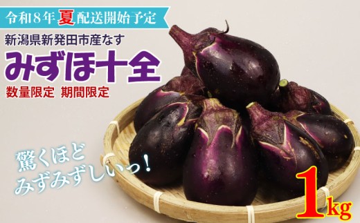 R8年産先行予約 なす 1kg （ 約 15個 ）みずほ十全 野菜 旬 旬の野菜