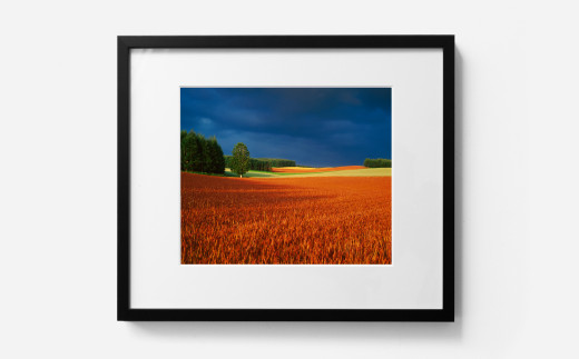 pd_d9046c37800001e62dd38bb2e11