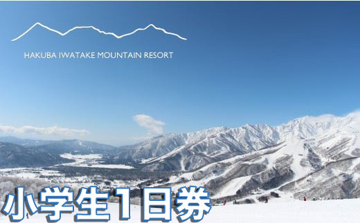 長野県エイブル白馬五竜&Hakuba47スキー場共通リフト券＜大人1日券1枚