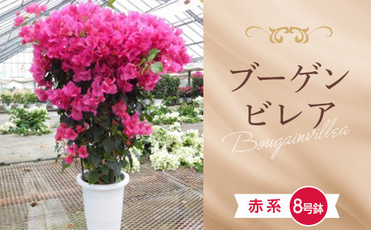 pd_8e6b235d8795ae77abdd3316e71