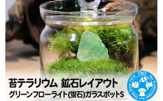 苔テラリウム 鉱石レイアウト グリーンフローライト(蛍石)ガラスポット
