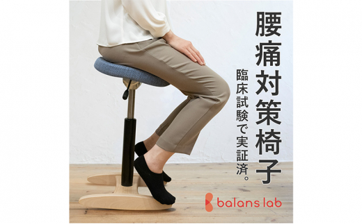 №5308-0369]バランスシナジー カバーなし 選べる カラー 腰痛対策椅子