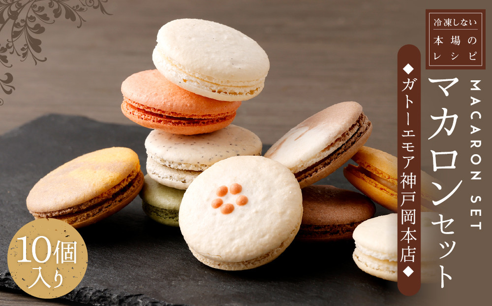 レオニダス＆ガトーエモア】冷凍しない本場のレシピ マカロンセット10