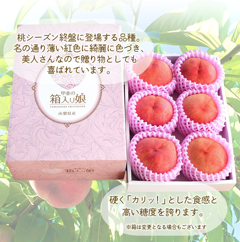 朝もぎ直送！『白桃系さくら』5～8玉 約2kg規格箱入り【高機能共選機