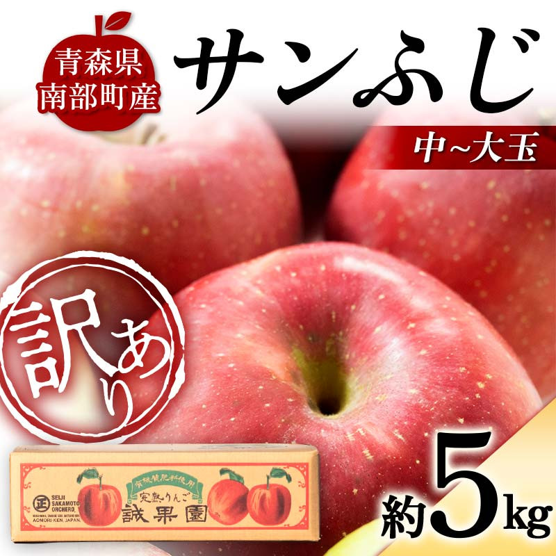 訳あり】 青森産 完熟 りんご サンふじ （中～大玉） 約5kg 【誠果園