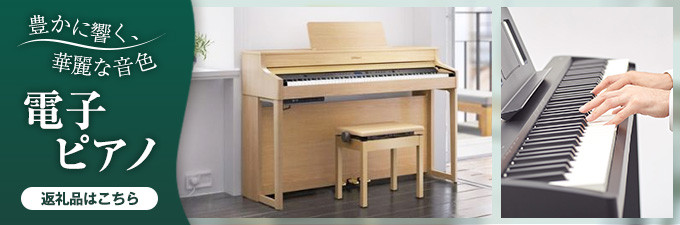 Roland】本格電子ピアノ/FP-10-BK【配送不可：離島】 [№5786-4376