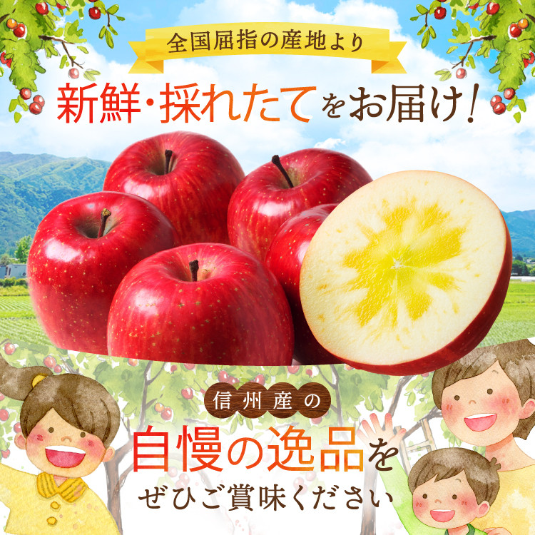 訳ありぐんま名月 約5kg 【2026年先行予約】 | ヤマモ農園 果物