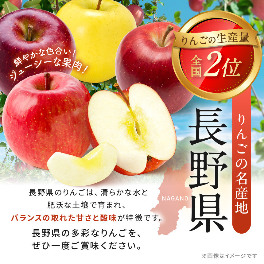 訳ありぐんま名月 約5kg 【2026年先行予約】 | ヤマモ農園 果物