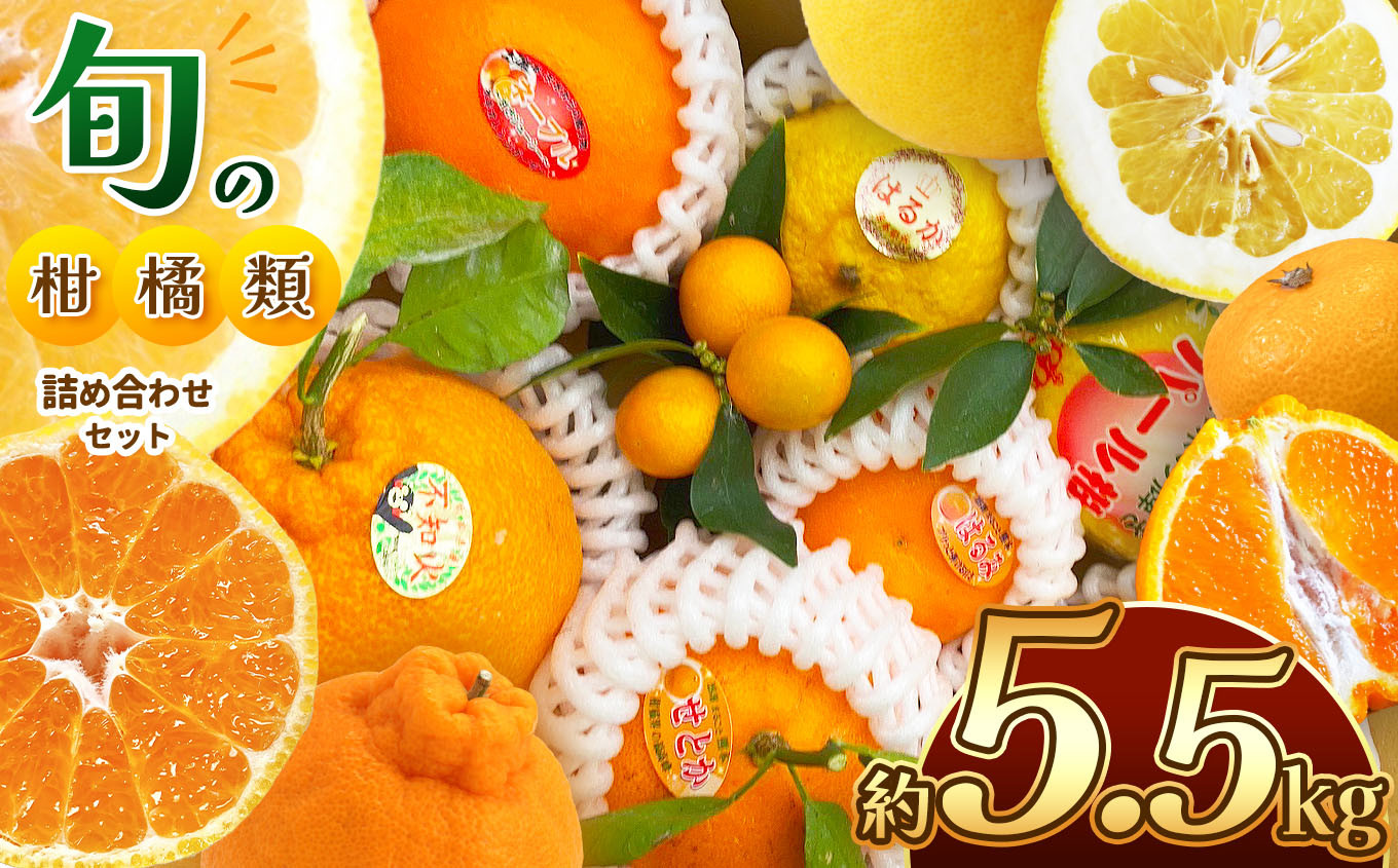 旬の柑橘類詰め合わせセット 約5.5kg 水本オレンジガーデン | 果物