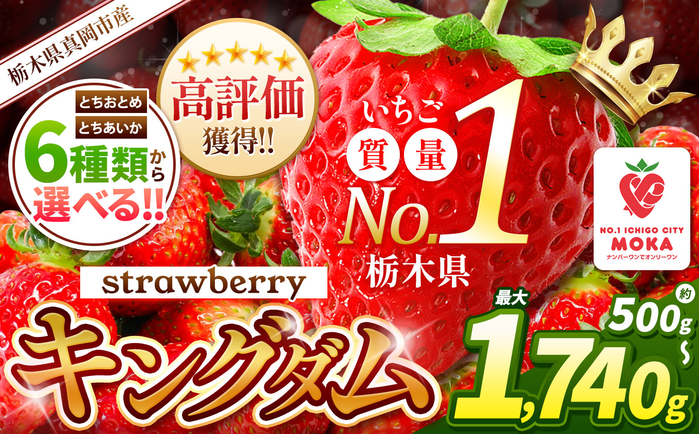 旬に発送♪ 人気超上昇！！ 選べる とちあいか いちご 6種類 350g