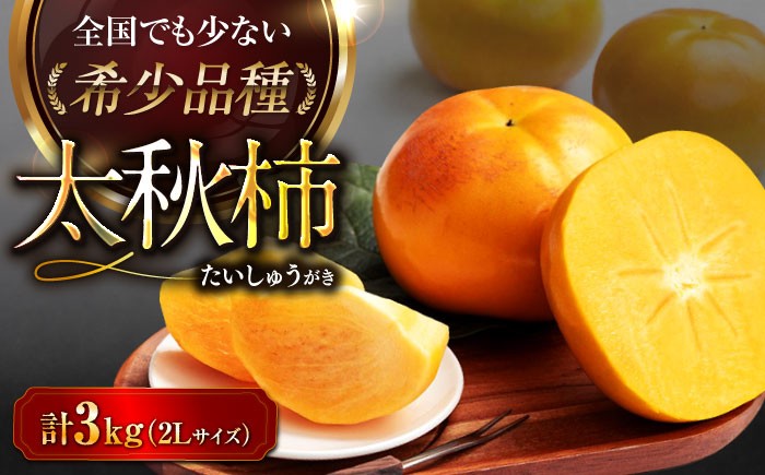 柿【先行予約】【10月上旬から順次発送】太秋柿 約 3kg 化粧箱入（ 2L