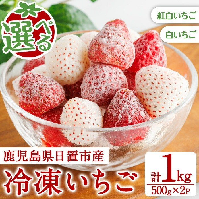 No.646 ＜選べる！＞冷凍いちご(白/紅白・約500g×2袋・計約1kg) 国産