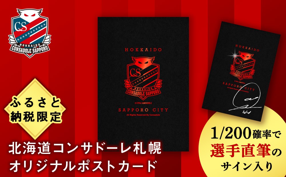 ふるさと納税限定 北海道コンサドーレ札幌 ポストカード 【1/200の確率