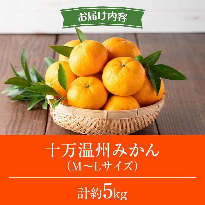 s765 ≪期間限定≫十万温州みかん(計約5kg・M～Lサイズ) 鹿児島 国産