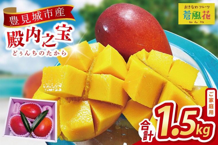 2026年7月より順次発送】豊見城産マンゴー『殿内之宝(どぅんちのたから
