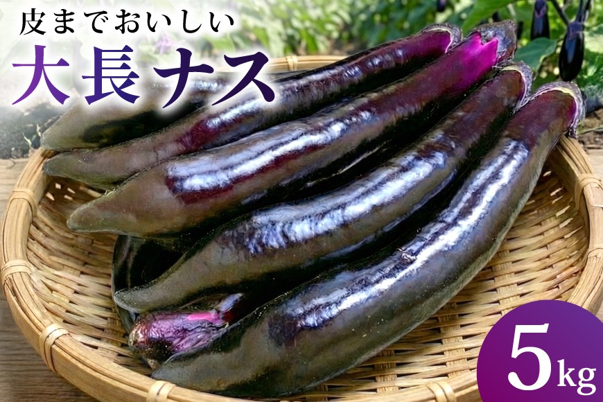 BF004【令和8年度出荷分】皮までおいしい！島原 大長ナス 5kg [ なす