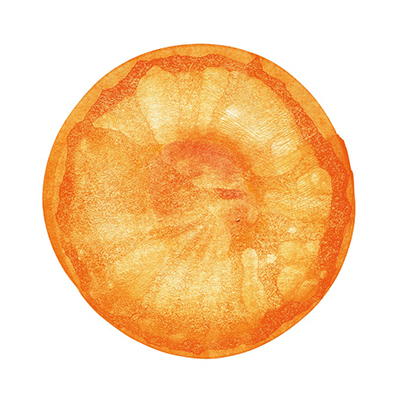 フィッシュマンズの人気ベスト『空中』『宇宙』のアナログ盤リリース