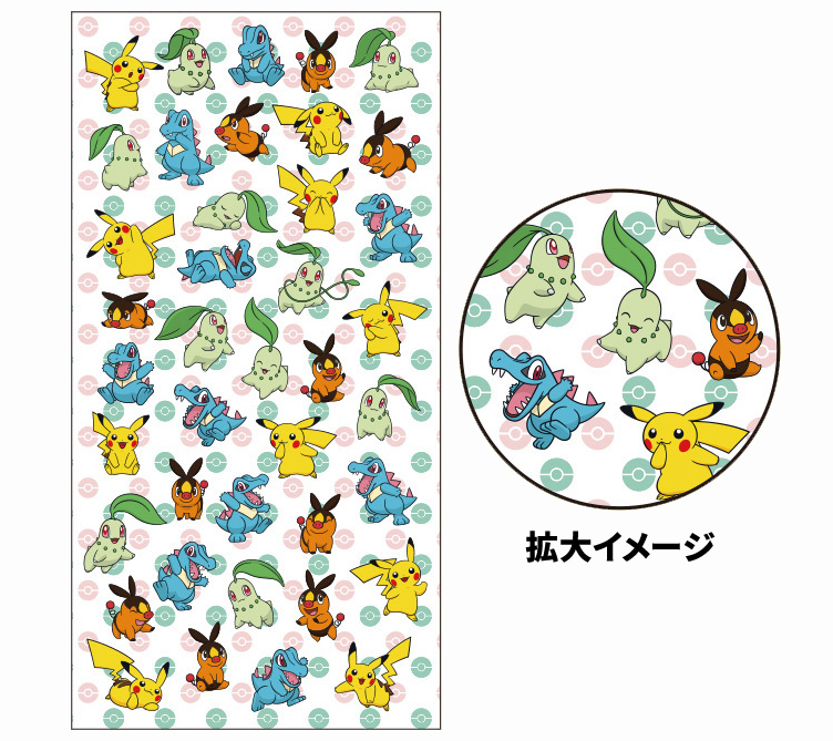 シリーズ最新作『Pokemon LEGENDS Z-A』2025年10月16日(木)発売|ゲーム