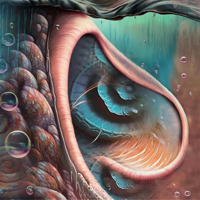 ピンク・フロイド 1971年名盤『Meddle (おせっかい)』トリビュート