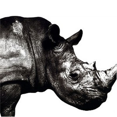 Mr.Children 1992-1995 : Mr.Children | HMV&BOOKS online - TFCC-88180