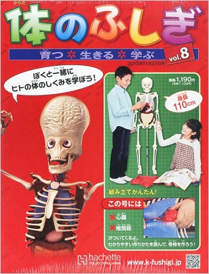 改訂版 体のふしぎ 8号 : 改訂版 体のふしぎ | HMV&BOOKS online