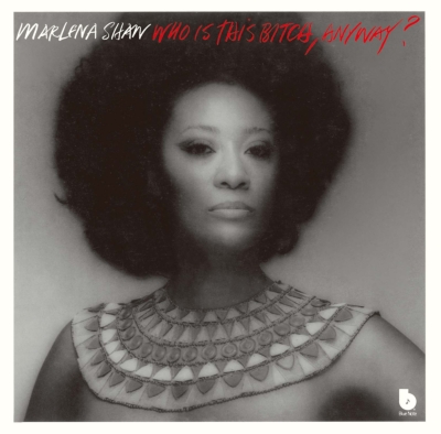 Who Is This Bitch Anyway? : Marlena Shaw | HMV&BOOKS online - UCCU