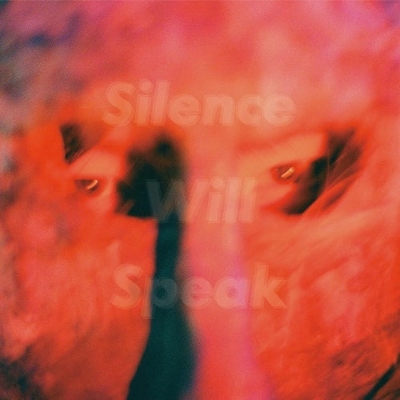 Silence Will Speak (アナログレコード) : GEZAN | HMV&BOOKS online