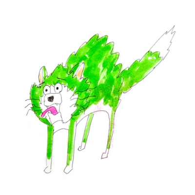 三九 (7インチシングルレコード) : Summer Eye | HMV&BOOKS online