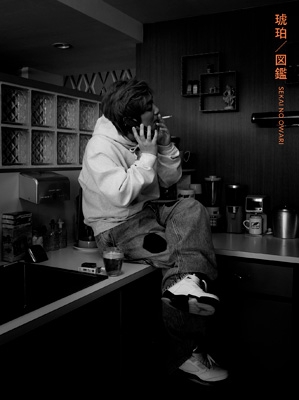 琥珀／図鑑【初回限定盤A】(CD+DVD) : SEKAI NO OWARI | HMV&BOOKS