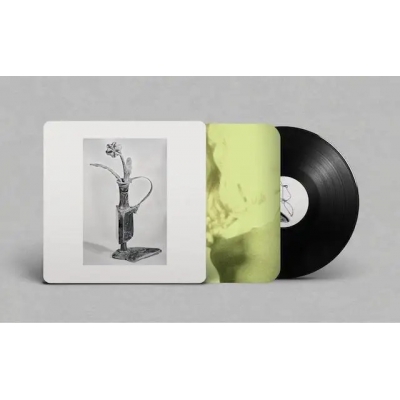 Dreams For Somebody Else (アナログレコード) : White Flowers