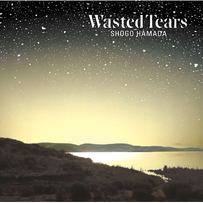 WASTED TEARS : 浜田省吾 | HMV&BOOKS online - SECL-3016